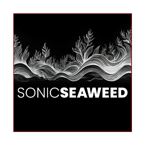 Sonic Seaweed Logo